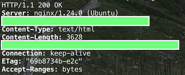 Terminal output nginx